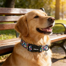 Load image into Gallery viewer, ARING PET Girl Dog Collar, Cute Spring Summer Blue Daisy Floral Pet Collars for Puppy Small Medium Large Female Girly Dogs-M, for Daily Outdoor Walking Training
