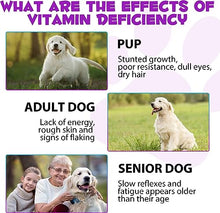 Load image into Gallery viewer, Dog Multivitamin Liquid Drops - 15 in 1 with Glucosamine, MSM &amp; Cranberry, Supports Joint, Skin &amp; Coat, Immune, Heart &amp; Urinary Health, 2 fl oz
