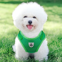 Load image into Gallery viewer, FEimaX Dog Harness and Leash Set for Walking, Soft Mesh Adjustable Easy Control Lightweight Cat Vest Harnesses with Reflective Strips, Escape Proof Small Dogs Cats Vests
