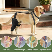 Load image into Gallery viewer, Dog Knee Brace for Back Leg, Adjustable Dog Leg Brace for Torn ACL Hind Leg Support, Joint Stability, Injury Recovery, Pain Relief, Dogs Rear Leg Wrap Harness Set with Collar and Leash (Medium)
