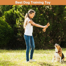 Load image into Gallery viewer, Pasking 2 Pack Dog Chew Toys for Aggressive Chewers, Chicken Flavor Indestructible Nylon Puppy Bone Tough Teething &amp; Calming for Large Medium Breeds(10lbs-70lbs) Birthday Gift Christmas
