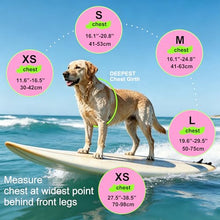 Load image into Gallery viewer, Dogcheer Dog Life Jacket with Double Rescue Handle, Reflective Dog Life Vest for Swimming Boating, Adjustable Pet Swim Vest Dog Flotation Device DFD for Small Medium Large Dogs - Pink XS
