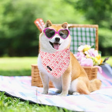 Load image into Gallery viewer, ARING PET Girl Dog Bandana, Cute Pink Bow Pet Bandanas Scarf Triangle Bibs Handkerchief for Puppy Small Medium Large Boy Girly Dogs-S
