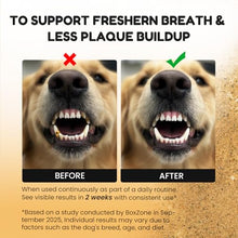 Load image into Gallery viewer, Dog Teeth Cleaning Powder - Plaque &amp; Tartar Control, Breath Fresheners
