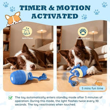 Load image into Gallery viewer, Akpsid Interactive Dog Toys Touch Activated Bouncing &amp; Jumping Dog Ball with Rope, Squeaky Doggie Toys to Keep Them Busy
