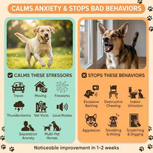 Load image into Gallery viewer, Dog Calming Diffuser – 1-Year Supply, Dual-Pheromone 15 Pack (3 Plug-in + 12 Refills) | Calming Pheromones Diffuser Kit for Anxiety, Barking, Chewing, Aggression, Indoor Urination &amp; Separation Anxiety
