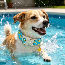 Load image into Gallery viewer, ARING PET Summer Dog Collar, Cute Blue Yellow Duck Doggy Collars for Puppy Small Medium Large Boy Girl Dogs, for Daily Photos Beach Walking Hiking Picnic-M
