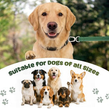 Load image into Gallery viewer, Heavy Duty Dog Leash with Easy Lock Metal Clip, Reflective, Padded Handle - Durable 4ft 8ft Walking Training Leash for Large, Medium, Small Dogs, Jogging, Hiking, and Outdoor Use (Green, 6 FT)
