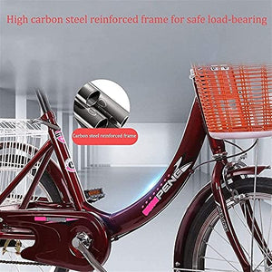 Adult Tricycle - 3 Wheel Bikes for Adults Shopping Adult Tricycles Cargo 1 Speed Freight Trikes 20 Inch 3 Wheel Bikes, Picnics