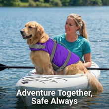 Load image into Gallery viewer, Doglay Dog Life Jacket with Rescue Handle, Dog Life Vest for Swimming Boating, Adjustable Reflective Puppy Swim Vest with Superior Buoyancy for Small Medium Large Dogs
