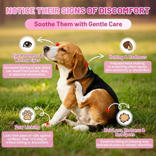 Load image into Gallery viewer, Wagmee Allergy Relief Drops for Dogs, Dog Itchy Skin Relief &amp; Natural Yeast Treatment with Omega-3, Turmeric for Dogs Anti Itchy Ears Paw Relief - Dog Seasonal Allergies, Skin &amp; Coat Immune Support
