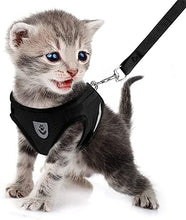 Load image into Gallery viewer, FEimaX Dog Harness and Leash Set for Walking, Soft Mesh Adjustable Easy Control Lightweight Cat Vest Harnesses with Reflective Strips, Escape Proof Small Dogs Cats Vests (Black, X-Small)
