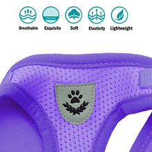 Load image into Gallery viewer, FEimaX Dog Harness and Leash Set for Walking, Soft Mesh Adjustable Easy Control Lightweight Cat Vest Harnesses with Reflective Strips, Escape Proof Small Dogs Cats Vests
