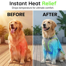Load image into Gallery viewer, Dog Cooling Vest with Ice Packs，Large
