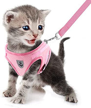 Load image into Gallery viewer, FEimaX Dog Harness and Leash Set for Walking, Soft Mesh Adjustable Easy Control Lightweight Cat Vest Harnesses with Reflective Strips, Escape Proof Small Dogs Cats Vests
