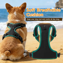 Load image into Gallery viewer, No Pull Dog Harness, No-Choke Soft Padded Reflective Dog Vest Harness with Front Clip &amp; Top Handle, 2 Quick-Release Buckles, Adjustable for Small Medium Large Dogs

