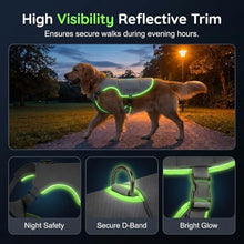 Load image into Gallery viewer, Dog Cooling Vest, Reflective Adjustable Cooling Harness, Ice Pack Pocket, Leash Ring Breathable Summer Vest Hot Weather Outdoor Walks (Grey, S)
