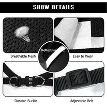 Load image into Gallery viewer, FEimaX Dog Harness and Leash Set for Walking, Soft Mesh Adjustable Easy Control Lightweight Cat Vest Harnesses with Reflective Strips, Escape Proof Small Dogs Cats Vests (Black, Medium)
