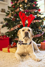 Load image into Gallery viewer, ARING PET Christmas Dog Collar, Cute Xmas Red Green Plaid Detachable Flower Pet Collar with Metal Buckle for Puppy Small Medium Large Boy Girl Dog-XL
