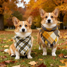 Load image into Gallery viewer, 2 Pack Thick Triangle Dog Bandanas with Tassels Edges, Reversible Plaid Dog Bandanas Boy Girl in Storage Box, Washable Soft Dog Scarf, Holiday Dog Bandana for Medium Large Dogs and Cats (Large)
