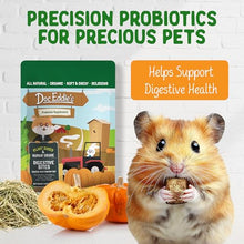 Load image into Gallery viewer, DOC EDDIE'S Digestive Bites - Plant-Based Small Animal Treats for Rabbits, Guinea Pigs, Hamsters, Gerbils, and More - Probiotics Supplement Made with Timothy Hay, Real Fruits, and Veggies
