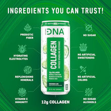 Load image into Gallery viewer, HYDRADNA- Sparkling Liquid Collagen Protein Water Drink Balanced Nutrients for Wellness - Sugar-Free - Keto-Friendly - No Gluten (12 Pack) Cucumber Lime
