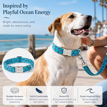 Load image into Gallery viewer, ARING PET Summer Dog Collar for Small Medium Large Boy Dogs-Blue Shark S
