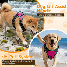 Load image into Gallery viewer, No Pull Dog Harness, No-Choke Soft Padded Reflective Dog Vest Harness with Front Clip &amp; Top Handle, 2 Quick-Release Buckles, Adjustable for Small Medium Large Dogs
