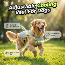 Load image into Gallery viewer, Dog Cooling Vest, Reflective Adjustable Cooling Harness, Ice Pack Pocket, Leash Ring Breathable Summer Vest Hot Weather Outdoor Walks (Grey, M)
