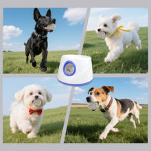 Load image into Gallery viewer, RERBIO Dog Ball Thrower Launcher, Automatic Ball Launcher for Dogs, 3 Adjustable Distance Settings, Indoor OutdoorInteractive Toy, with 3 2.3-inch Balls, Small/Medium Sized Dog Thrower
