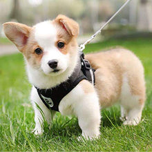 Load image into Gallery viewer, FEimaX Dog Harness and Leash Set for Walking, Soft Mesh Adjustable Easy Control Lightweight Cat Vest Harnesses with Reflective Strips, Escape Proof Small Dogs Cats Vests (Black, Large)
