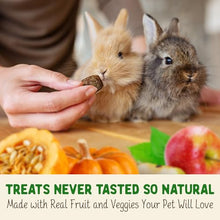 Load image into Gallery viewer, DOC EDDIE'S Digestive Bites - Plant-Based Small Animal Treats for Rabbits, Guinea Pigs, Hamsters, Gerbils, and More - Probiotics Supplement Made with Timothy Hay, Real Fruits, and Veggies
