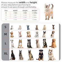 Load image into Gallery viewer, MIAOTONG 3-Flap Steel Small Dog Door for wall with Sliding Lock Panel
