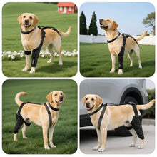 Load image into Gallery viewer, Dog Knee Brace for Back Leg, Adjustable Dog Leg Brace for Torn ACL Hind Leg Support, Joint Stability, Injury Recovery, Pain Relief, Dogs Rear Leg Wrap Harness Set with Collar and Leash
