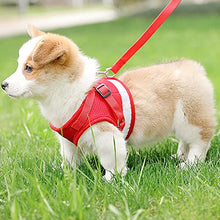 Load image into Gallery viewer, FEimaX Dog Harness and Leash Set for Walking, Soft Mesh Adjustable Easy Control Lightweight Cat Vest Harnesses with Reflective Strips, Escape Proof Small Dogs Cats Vests (Red, X-Small)
