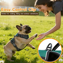 Load image into Gallery viewer, No Pull Dog Harness, No-Choke Soft Padded Reflective Dog Vest Harness with Front Clip &amp; Top Handle, 2 Quick-Release Buckles, Adjustable for Small Medium Large Dogs
