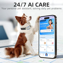 Load image into Gallery viewer, DBDD Dog GPS Tracker, AI Tracker Collar with Virtual Fence &amp; Health Monitoring - Real Time Location Tracker for Escape Artists, Electronic Fence Collar for Medium to Large Dogs, iOS and Android
