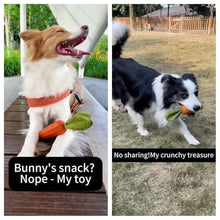 Load image into Gallery viewer, MewaJump Dog Squeaky Chew Toys for Aggressive Chewers, Rubber Carrot Dog Toys for Training and Cleaning, Durable Interactive Tough Dog Toy for Puppy Medium Dogs
