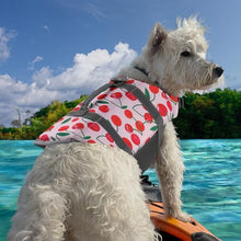 Load image into Gallery viewer, Doglay Dog Life Jacket, Dog Life Vest for Swimming Boating, Adjustable Puppy Life Jacket with Reflective Stripes, Superior Buoyancy Pet Swimming Vest for Small Medium and Large Dogs
