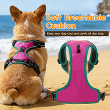 Load image into Gallery viewer, No Pull Dog Harness, No-Choke Soft Padded Reflective Dog Vest Harness with Front Clip &amp; Top Handle, 2 Quick-Release Buckles, Adjustable for Small Medium Large Dogs
