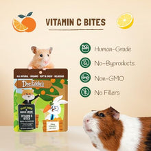 Load image into Gallery viewer, DOC EDDIE'S Vitamin C Bites Soft &amp; Chewy Treats for Hamster, Rabbit, Chinchilla, Bunny, Gerbil, Mouse, Rat, Hedgehog, Squirrel, &amp; Guinea Pig Friendly - Made w/Real Fruit &amp; Organic, New &amp; Tastier
