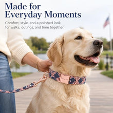 Load image into Gallery viewer, ARING PET 4th of July Dog Collar, Patriotic American USA Flag Heavy Duty Blue Red White Doggy Collars for Puppy Small Medium Large Boy Girl Dogs, for Independence Parades Walking Picnic Photos, L
