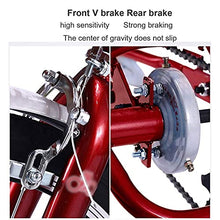 Load image into Gallery viewer, Three Wheel Bike, 20in Adult Tricycle with Shopping Basket Cruiser Bike High Carbon Steel Frame for Recreation Shopping
