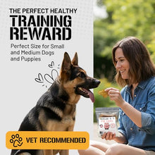 Load image into Gallery viewer, Dog Chits Pig Ears for Dogs – 100% Natural Baked Pig Ear Dog Treats &amp; Training Chews – High Protein, Lower Fat, Grain-Free – Great for Puppies, Dental Support – Medium Size, 15 Pack – Made in USA
