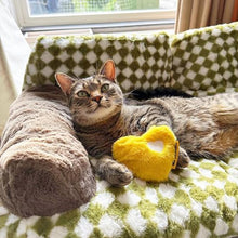 Load image into Gallery viewer, FUNNY FUZZY Dog Toy, Heart Plush Squeaky Dog Toy for Puppy Cats with Soft Squeaker, Fun for Indoor Puppies and Kitten, Pet Toy for Small Medium Large Breeds, Yellow,2 Pack
