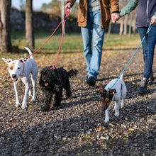 Load image into Gallery viewer, FOVRLZSE 3-Pack Adjustable Dog Slip Leads (Light Pink/Light Blue/Orange)
