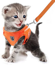 Load image into Gallery viewer, FEimaX Dog Harness and Leash Set for Walking, Soft Mesh Adjustable Easy Control Lightweight Cat Vest Harnesses with Reflective Strips, Escape Proof Small Dogs Cats Vests (Orange, Large)
