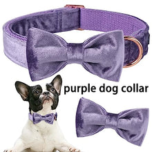 Load image into Gallery viewer, ARING PET Bowtie Dog Collar-Velvet Dog Collars with Removable Bowtie, Cute &amp;Comfortable Purple Dog Collar,X-Small.

