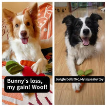 Load image into Gallery viewer, MewaJump Dog Squeaky Chew Toys for Aggressive Chewers, Rubber Carrot Dog Toys for Training and Cleaning, Durable Interactive Tough Dog Toy for Puppy Medium Dogs
