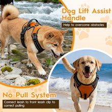 Load image into Gallery viewer, No Pull Dog Harness, No-Choke Soft Padded Reflective Dog Vest Harness with Front Clip &amp; Top Handle, 2 Quick-Release Buckles, Adjustable for Small Medium Large Dogs
